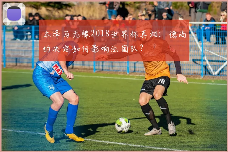本泽马无缘2018世界杯真相：德尚的决定如何影响法国队？