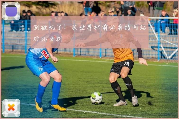 别被坑了！买世界杯前必看的网站对比分析