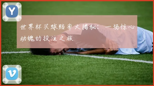 世界杯买球赔率大揭秘：一场惊心动魄的投注之旅