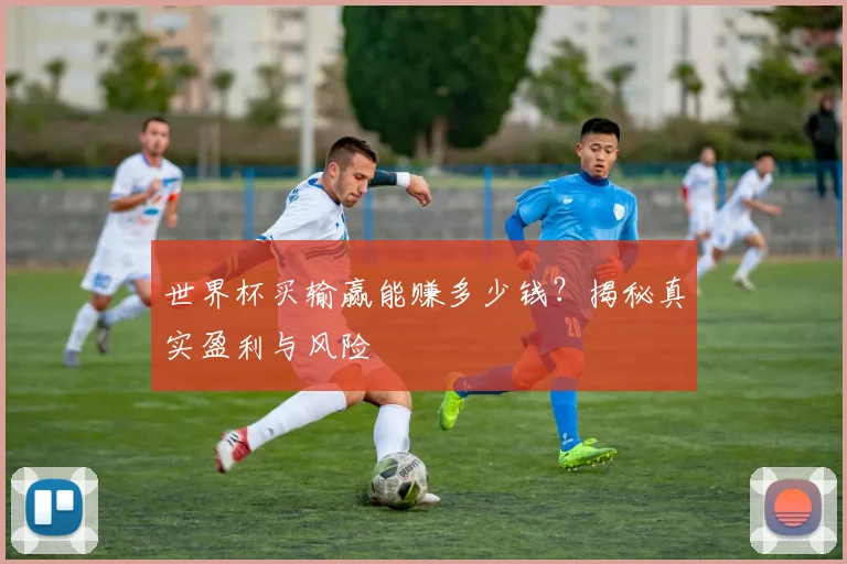 世界杯买输赢能赚多少钱？揭秘真实盈利与风险