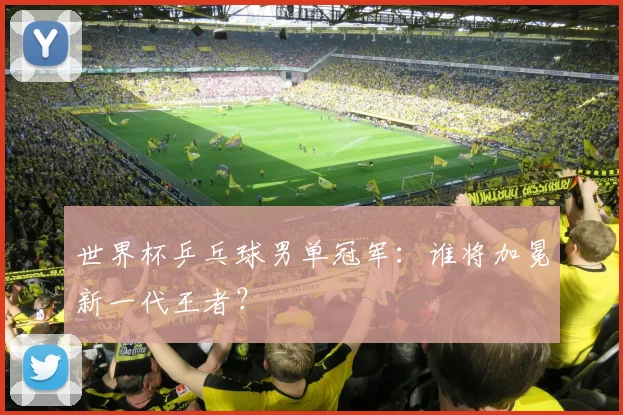 世界杯乒乓球男单冠军：谁将加冕新一代王者？