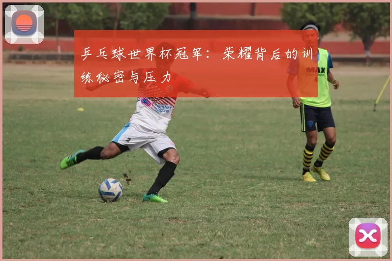 乒乓球世界杯冠军：荣耀背后的训练秘密与压力