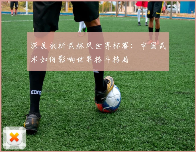 深度剖析武林风世界杯赛：中国武术如何影响世界格斗格局
