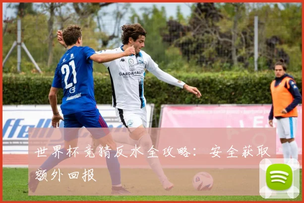 世界杯竞猜反水全攻略：安全获取额外回报
