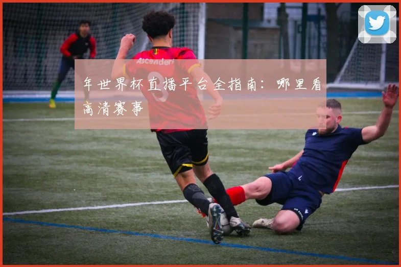 年世界杯直播平台全指南：哪里看高清赛事